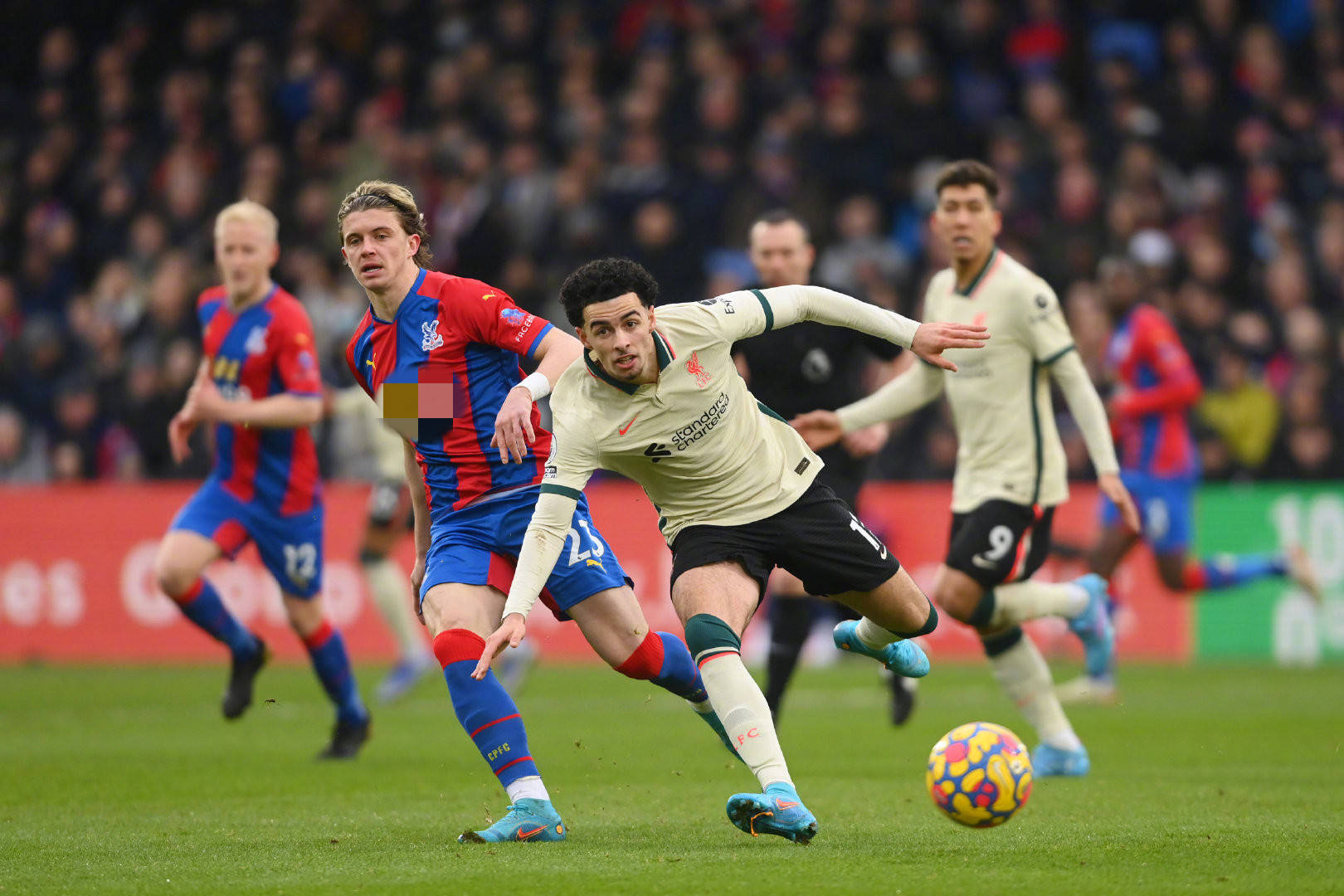 从来不是简 从来不是简